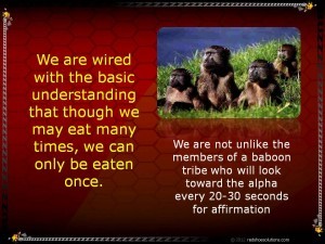 Baboon Tribe