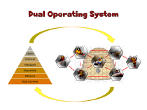 dual operating system